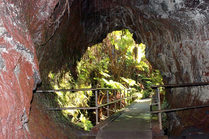 Hawaii Volcanoes National Park and Hilo Highlights Small Group Tour - Customer Feedback