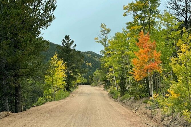 High Country Old West 4X4 Jeep Tour - Group Size and Exclusivity