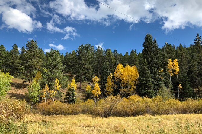 Hiking Adventure Through Colorados Front Range Close to Denver - Reviews and Feedback From Adventurers
