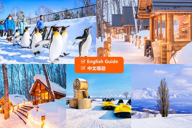 Hokkaido: Asahiyama Zoo, Furano, and Ningle Terrace Full Day Tour - Itinerary Highlights