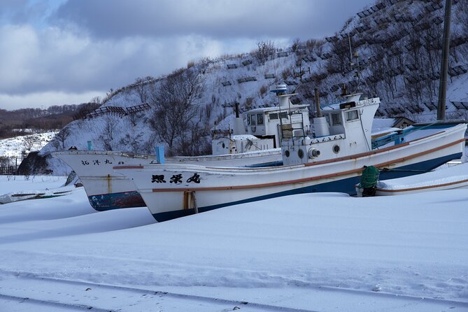 Hokkaido Niseko Ski Day Tour（Depart From Sapporo） - Tour Policies