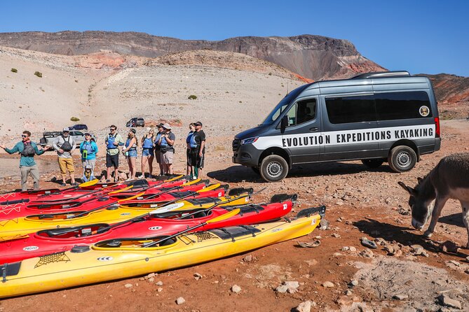 Hoover Dam Discovery Kayak Tour - Physical Requirements for Participants