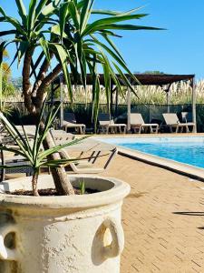 Hotel Le Mas Des Ponts D'Arles - Policies and Rules