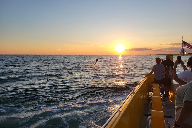 Hydro Rocket Dolphin Sightseeing Boat Tour From Destin - Inclusions and Restrictions