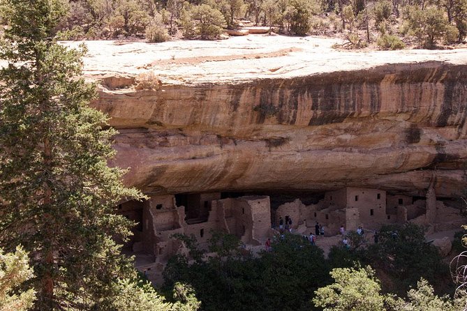 Immersive Mesa Verde National Park Tour With Guide - Discovering Ancient Cliff Dwellings