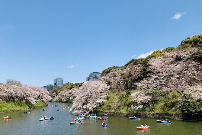 Imperial Palace and Heritage of Edo Castle Private Tour - Exploring the Edo Castle Heritage