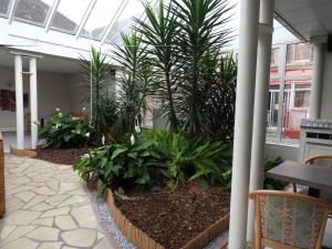 In the Wild - The Sum Up