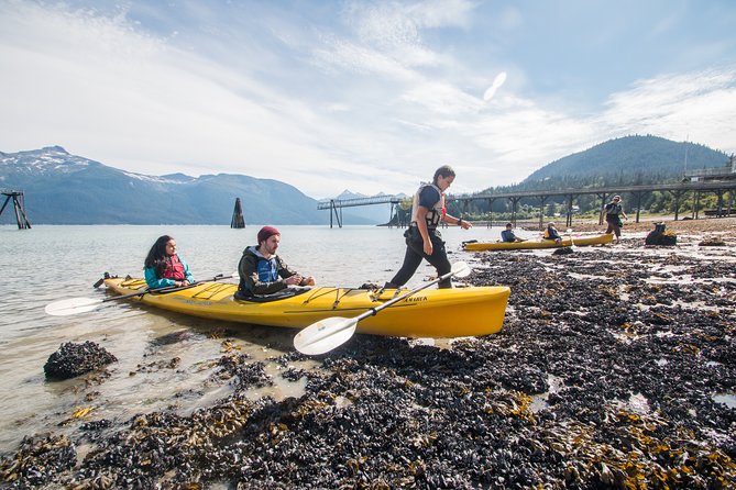 Inside Passage Sea Kayaking From Skagway - Essential Gear and Equipment