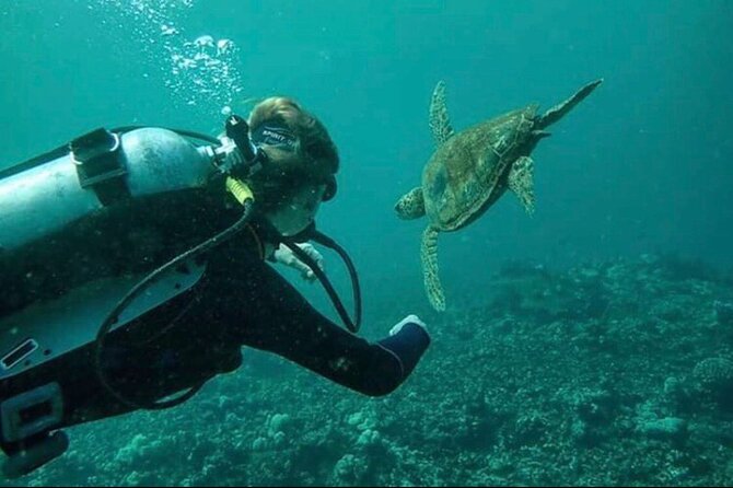 Introductory Beach Scuba Dive - The Role of PADI-Certified Instructors