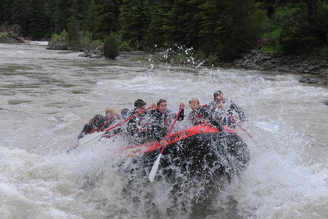 Jackson Hole Whitewater Rafting Classic From Jackson Hole,Wyoming - Customer Reviews and Highlights