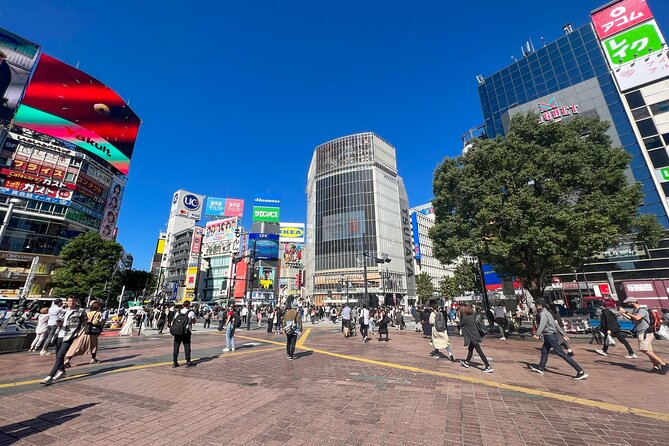Japanese Food History and Art Tour With Licensed Guide - Dietary Accommodations