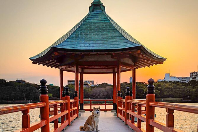 Join Fukuoka Adventure Friendly Tour With a Local Guide - Experiencing Local Traditions and Customs