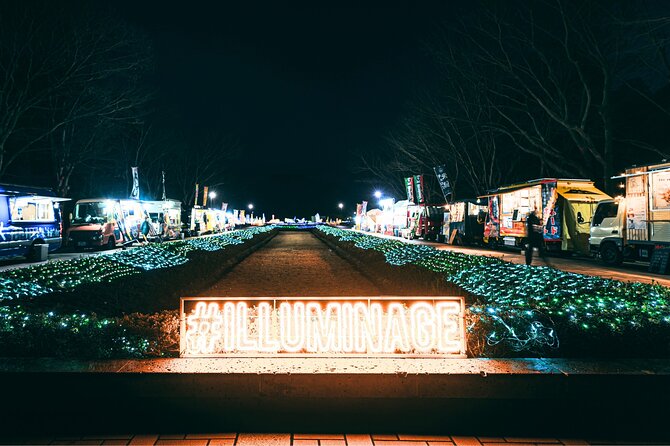 Kagoshimas Largest Winter Light Display - Tips for Visiting