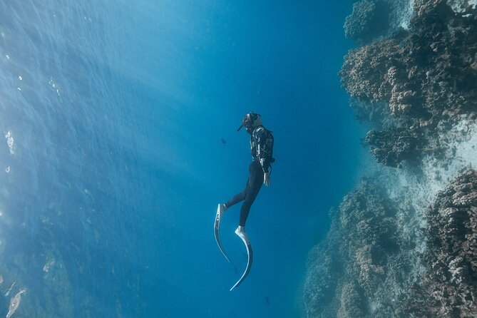 Kaimana Kealakekua Bay Captain Cook Adventure - Reviews and Feedback