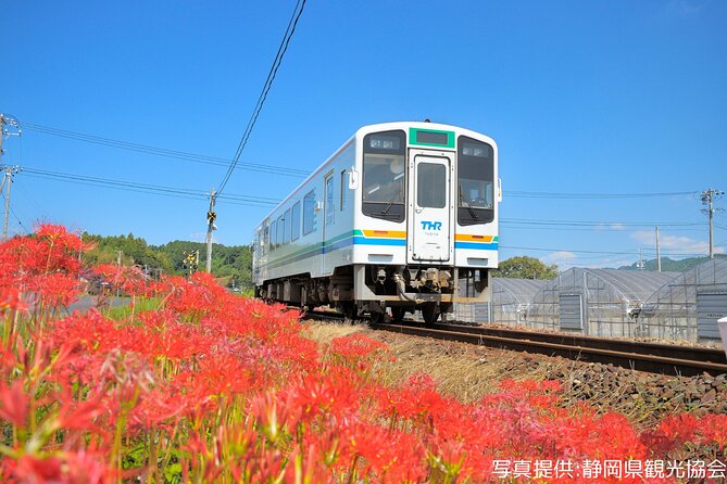 Kakegawa Castle and Sake Tasting Private Tour With Public Train - Savoring the Craft: Sake Brewing Experience
