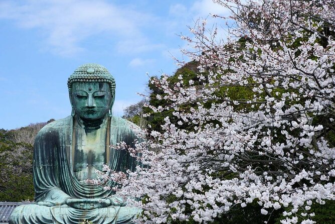 Kamakura Full Day Tour: Kotoku-in & Enoshima & Hachimangu Shrine - Visiting Kotoku-in