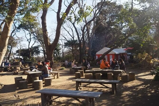 Kamakura Private Cultural and Historical Hiking Tour - Dietary Accommodations
