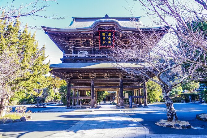 Kamakura Private Guided Tour With Traditional Experiences - Explore the Iconic Tsurugaoka Hachiman-gū Shrine