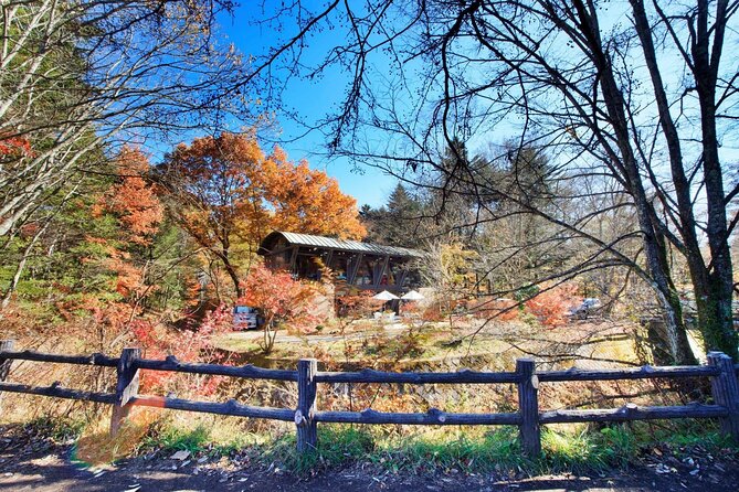 Karuizawa Private Customizable Full Day Tour - Preparing for Your Karuizawa Adventure