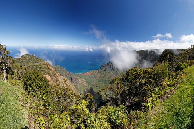 Kauai Island Tour : Journey to Waimea Canyon & More Highlights - Traveler Participation and Comfort