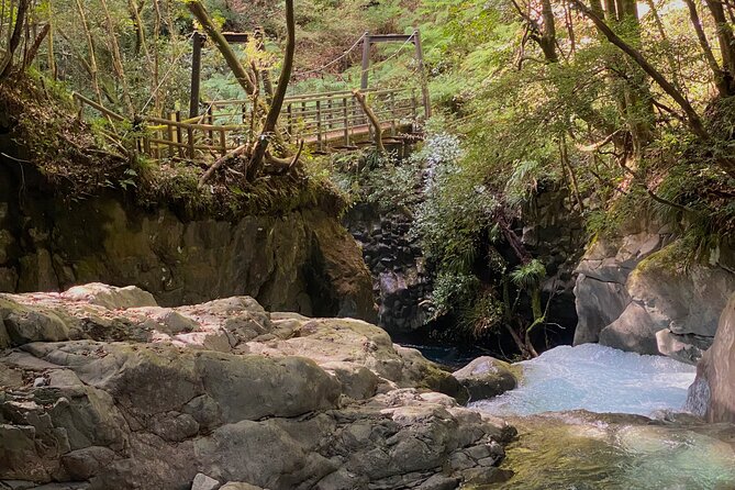 Kawazu Seven Falls Guided Tour - Accessibility Information