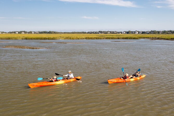 Kayak Activity and Sightseeing in Dolphin Safari - Participation Requirements