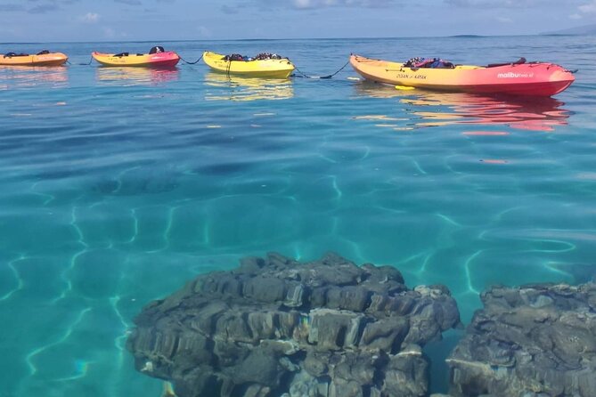 Kayak and Snorkel: Maui West Shore - Important Information