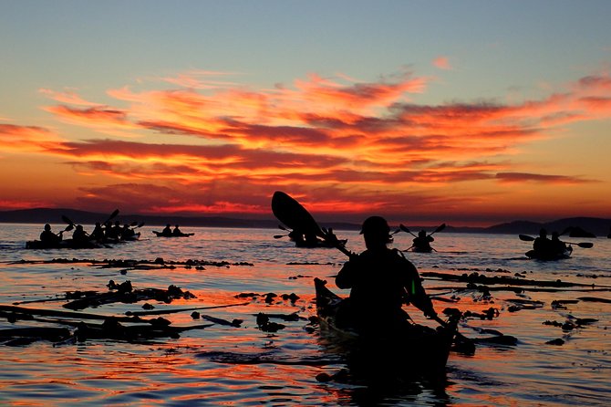 Kayaking in Deception Pass State Park - Health and Safety Guidelines
