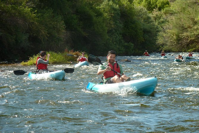 Kayaking the Salt River Foxtail Trip - Traveler Reviews and Feedback