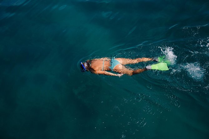 Key West Safari Eco Sandbar Tour Adventure With Snorkeling - Tour Details and Logistics