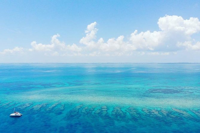 Key West Snorkeling With Breakfast and Unlimited Mimosas - Snorkeling Equipment and Safety