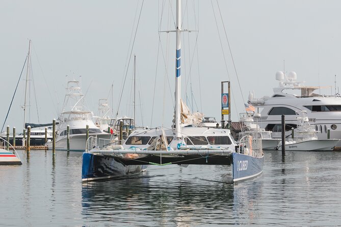 Key Wests Favorite Afternoon Dolphin Sail - Customer Experiences and Feedback