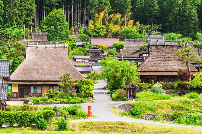 Kyoto and Miyama Full Day Tour From Osaka - Accessibility and Participation