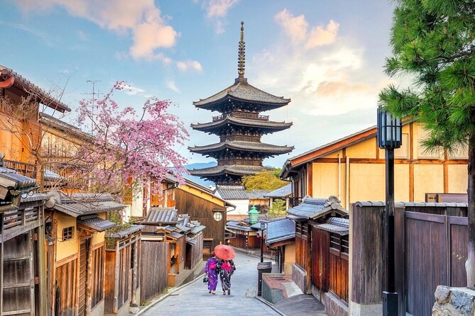Kyoto Arashiyama Fushimi Inari Taisha Shrine and Nara Park Tour - Accessibility and Participation