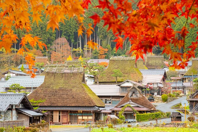 Kyoto Ine Bay, Amanohashidate and Miyama Village Tour From Osaka - Tour Conditions and Recommendations