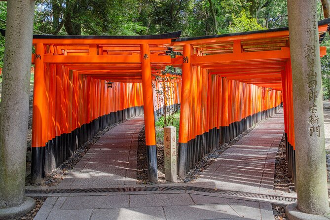 Kyoto One Day Sightseeing Tour From Osaka or Kyoto - Accessibility and Participation