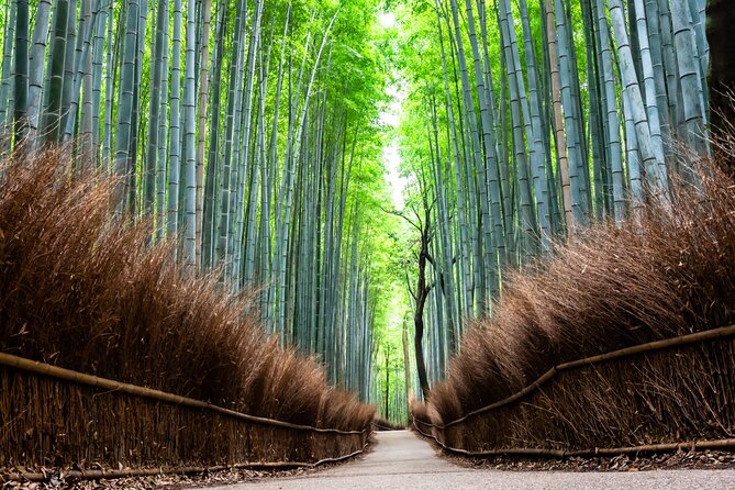 Kyoto: Private City Highlights Tour by Car - Exploring Kyotos Iconic Destinations