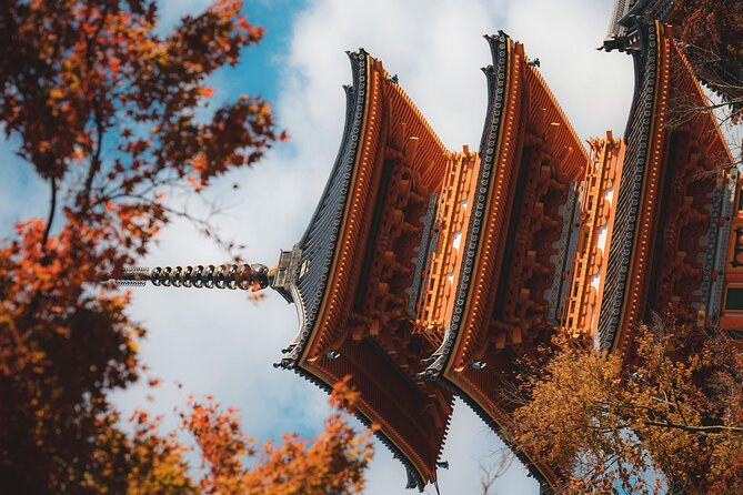 Kyoto Private Customizable Sightseeing Tour(from Osaka) - Booking Confirmation