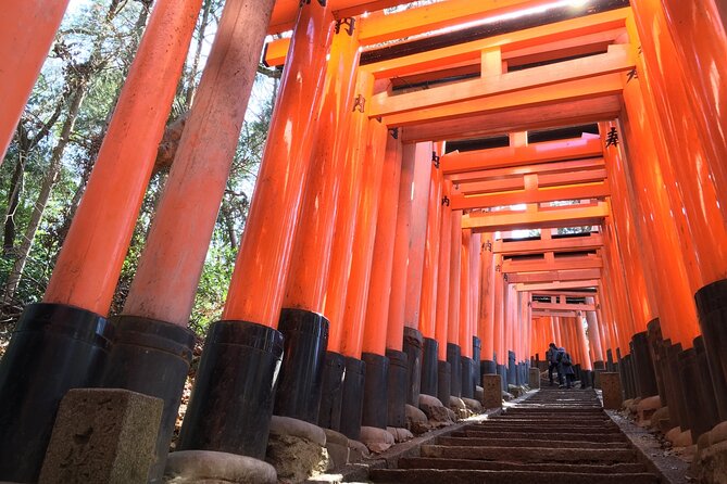 Kyoto Private Tour With National Licensed Guide From Osaka - Immersive Cultural Experiences