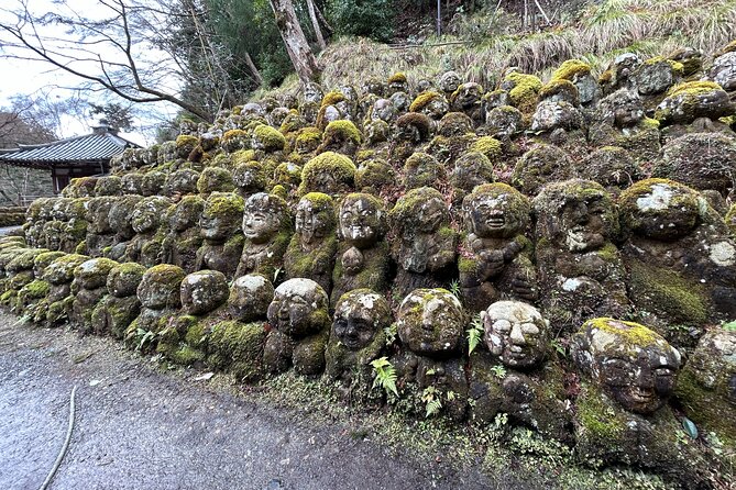 Kyoto Shore Excursion From Osaka With Japanese Guide - Itinerary and Highlights