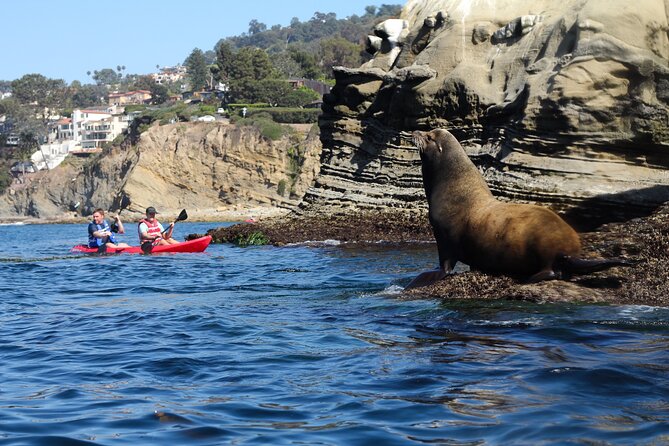 La Jolla Kayak Rental - Booking Process and Pricing