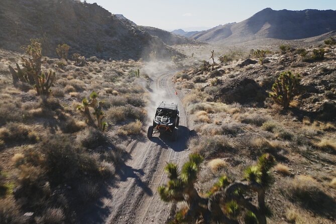 Las Vegas ATV Tour 2 or 4 Seater With FREE Transfer Included - Pricing Details and Group Options