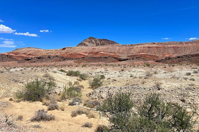 Las Vegas Guided Off-Road Adventure to Boathouse Cove - Health and Safety Considerations