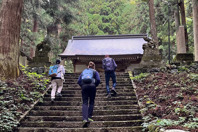 Life to Knife Immerse Into the Soul of Rustic Japan - Taking in the Tranquility of Izumo Taisha Shrine