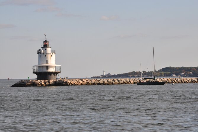 Lighthouse Lovers Cruise in Portland - Opportunities to Spot Wildlife