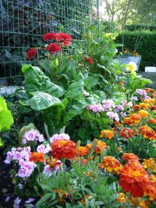 Logis Hotel & Restaurant La Paix - Dining Experience