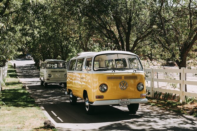Los Angeles: Private Vintage VW Bus Tour in Malibu - Reviews