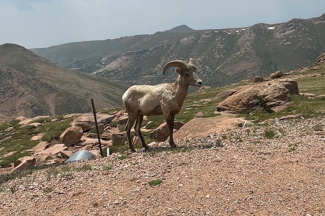 Luxury Private Van to Pikes Peak Garden of Gods - Customer Reviews and Feedback