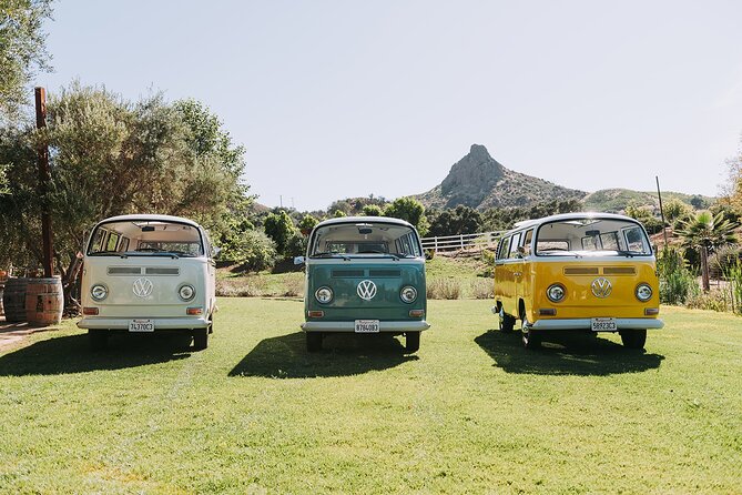 Malibu: Vintage VW Bus and Vineyard Tour - Booking and Cancellation Policy