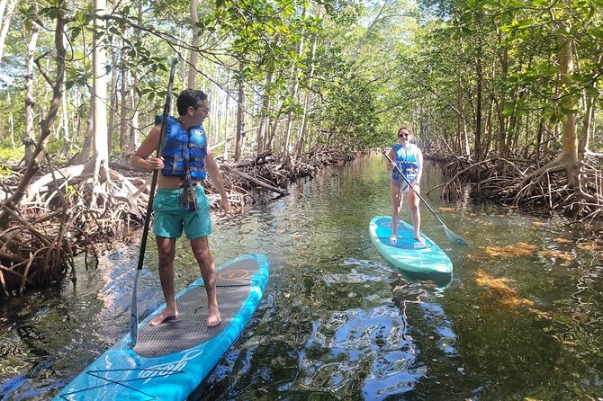 Mangrove Jungle Exploration on SUP/Kayak - Traveler Experiences and Feedback
